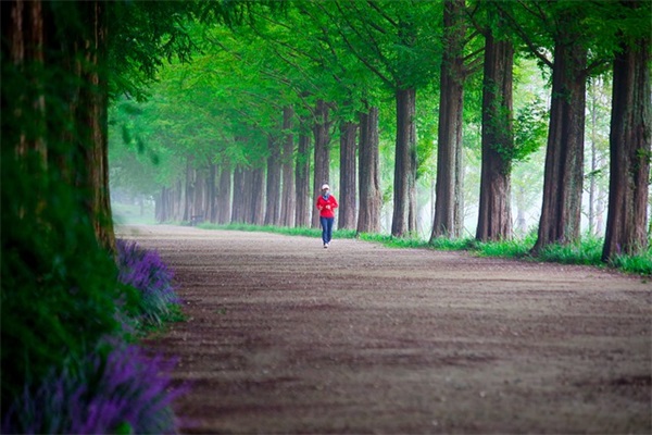 关于爱情qq名字80句