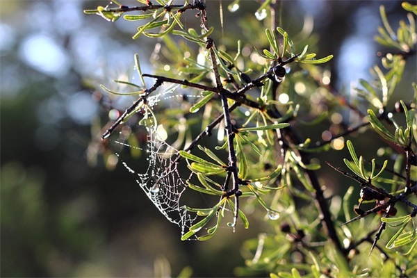 qq超拽伤感网名89句