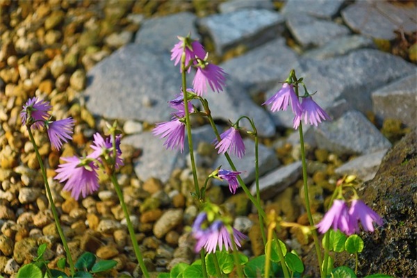 qq名字大全男孩伤感87句