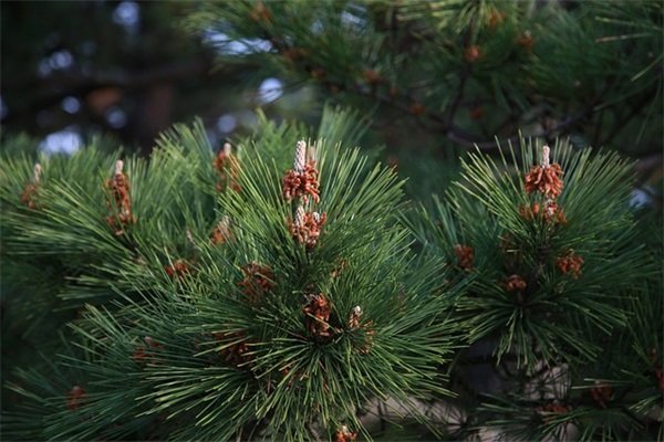 2025年qq性网名95句