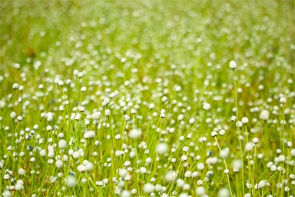 qq空间名字伤感女生92句