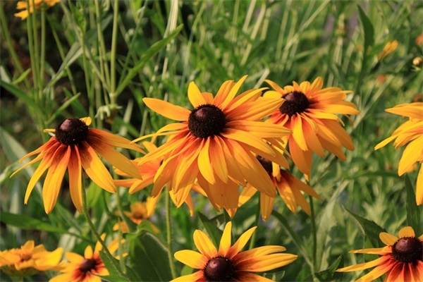 qq2025年伤感网名77句