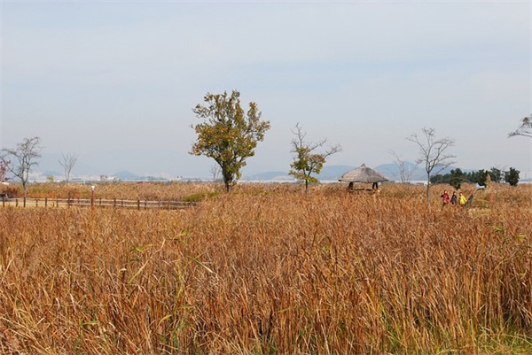 qq炫舞名字超拽霸气99句