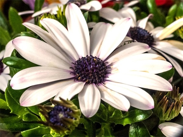 qq2025年唯美网名101句