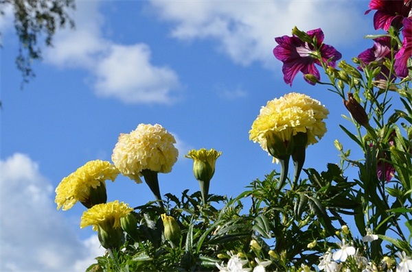 qq爱情繁体网名90句