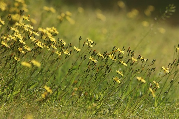 最霸气最潮的群名字90句