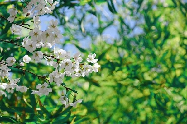 qq空间相册名字唯美79句