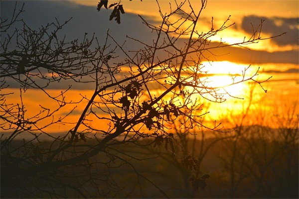 关于爱情的qq名字92句