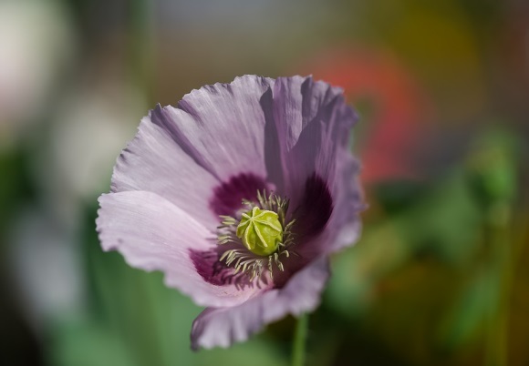 少女心爆棚的店名318个