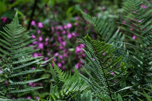 中国现代名人名言84句