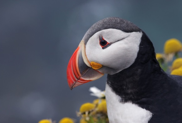 小众新颖的公司名称266个