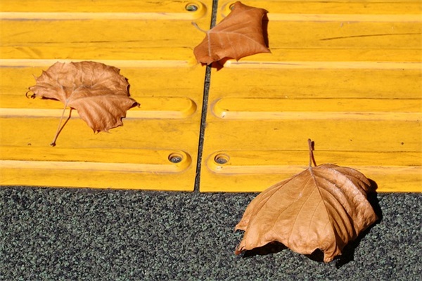 爱因斯坦名人名言119句