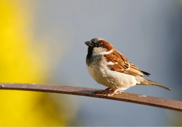 高雅的三个字的店名326个