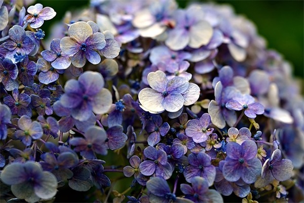 关于恋爱的名人名言104句