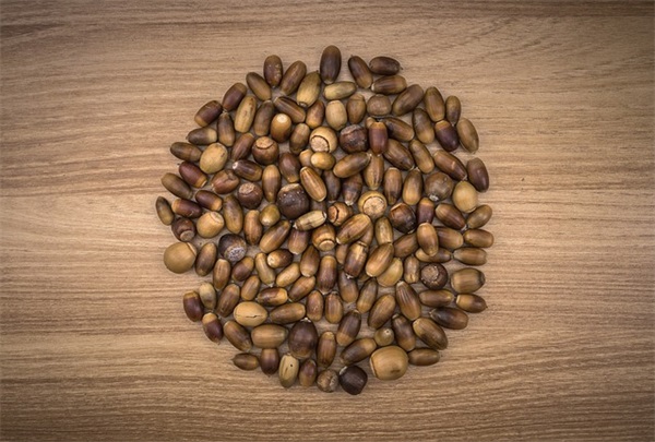 热情的名言98句