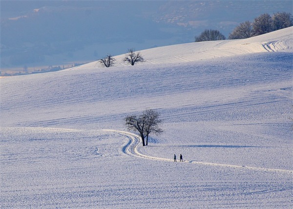 阳光励志名言110句