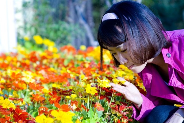 成功的名言警句赏析大全