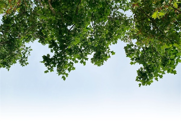 战胜困难的名言警句83句