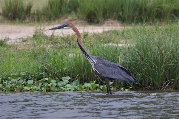 巴菲特说过的名言89句