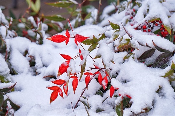 人生哲理的名人名言108句