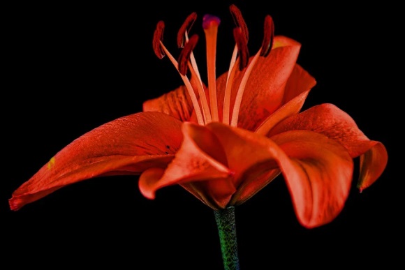 开网店怎么取店铺名最佳310个