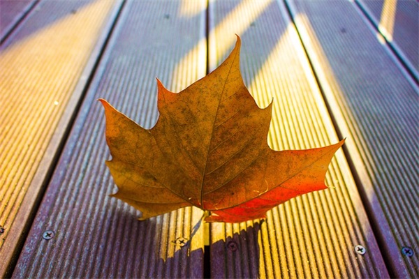 青春的名言英语