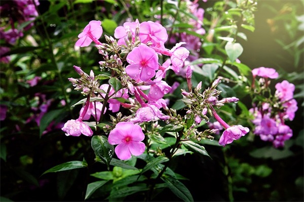 道德名言名句经典集80句