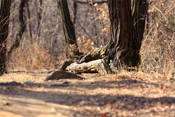 励志名言及感悟126句