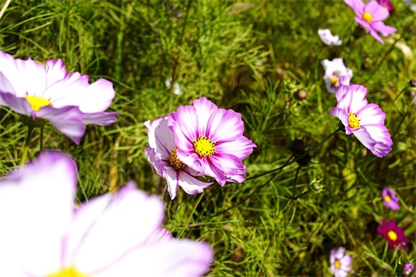 有关克服困难的名言100句