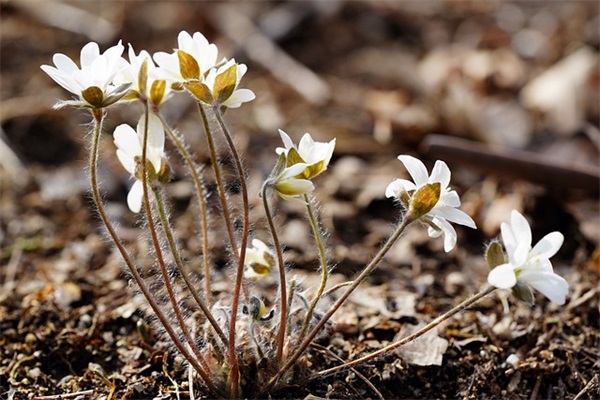 珍惜时间的励志名言112句