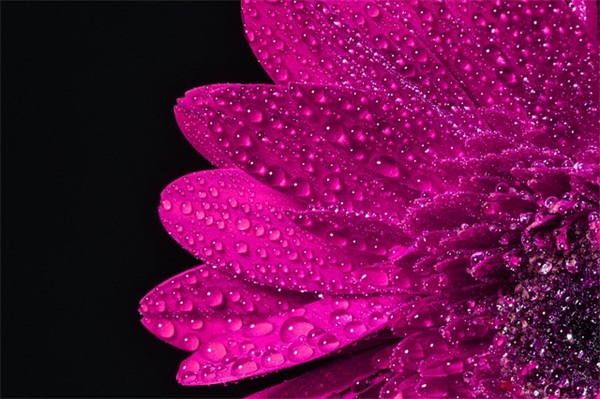 人生意义的名言100句