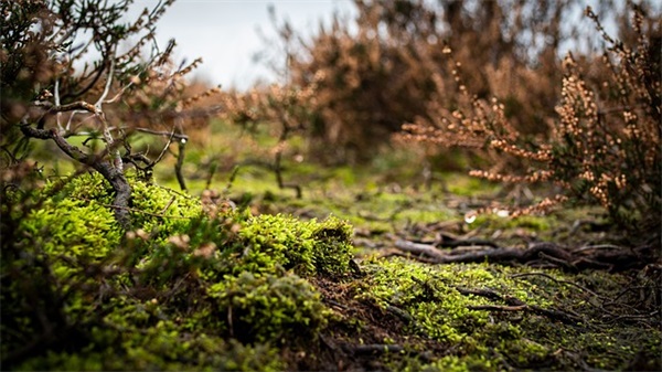 英语的励志名言166句