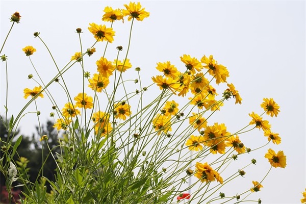 关于创造创新的名言85句