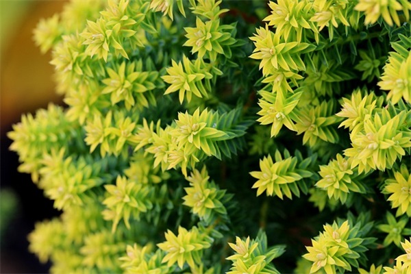 英语名言励志164句