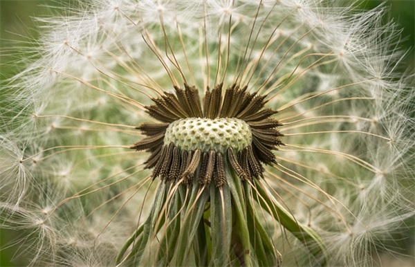 有关人生感悟的名言83句