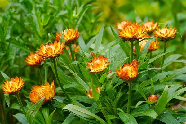 走自己的路的名言67句