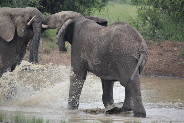 动漫名人名言84句