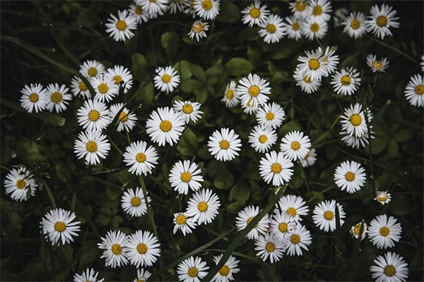 有关责任的英语名言