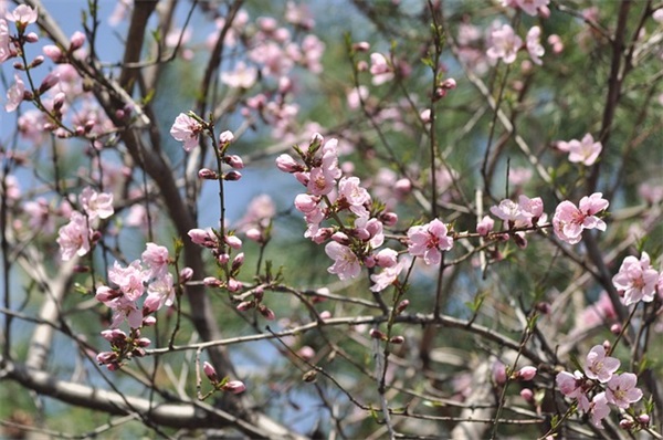 教育的励志名人名言