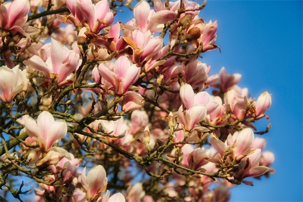 守信用的名言警句