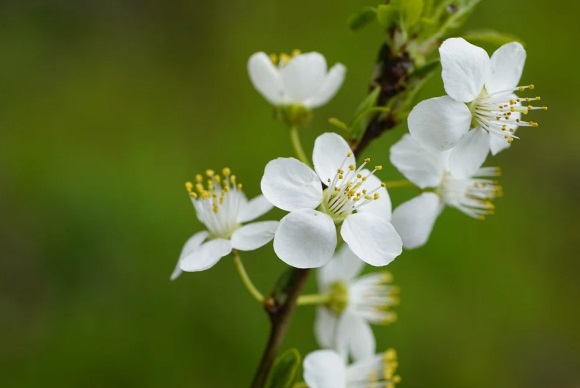取店名生意红火名大全免费330个
