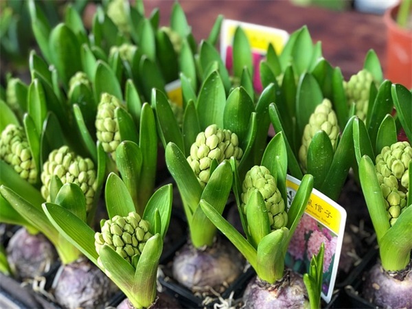 qq爱情名人名言129句