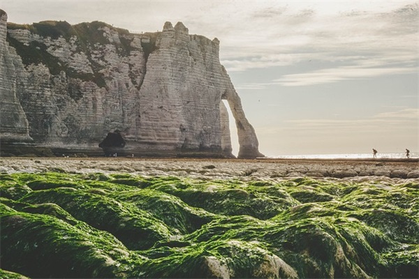 努力学习名人名言99句
