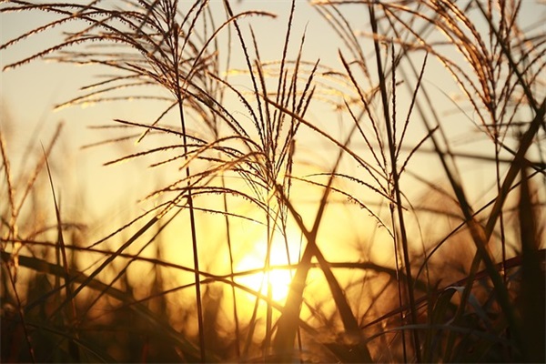 爱情人生哲理名言96句