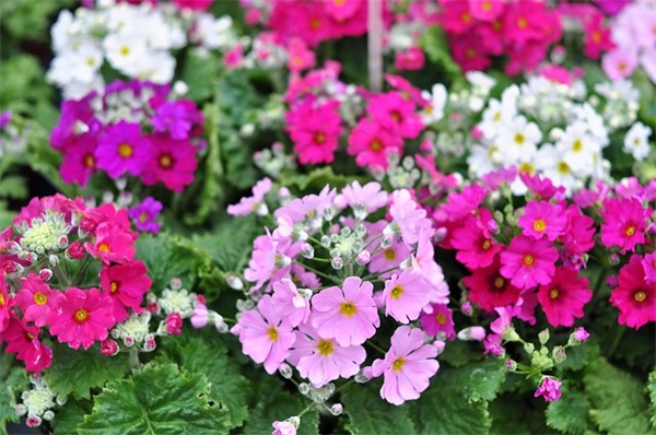 科学的名人名言大全96句