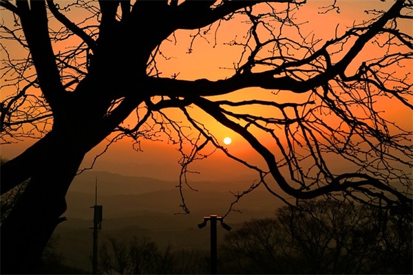 励志名言赏析124句