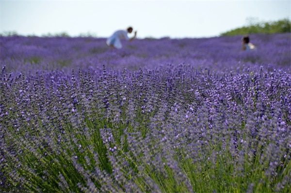 动漫中的名人名言88句