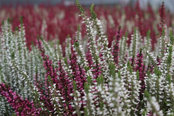 关于人情的名言警句 有关人情味的名言警句