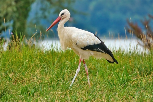 名言警句摘抄大全 名言警句大全摘抄大全