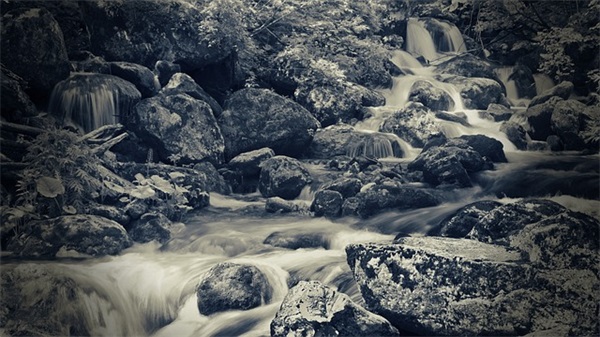 有关自由的英语名言